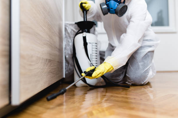 Best Pest Inspection Near Me  in Rawlins, WY