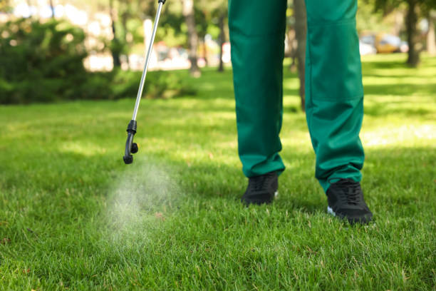 Best Cockroach Control Services  in Rawlins, WY