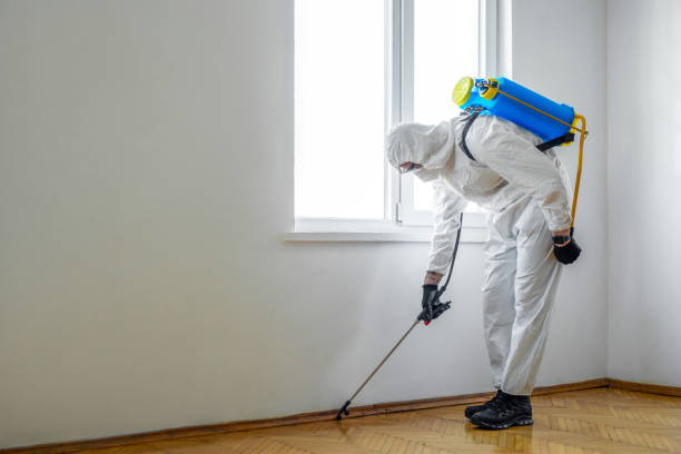Best Best Pest Control Companies  in Rawlins, WY