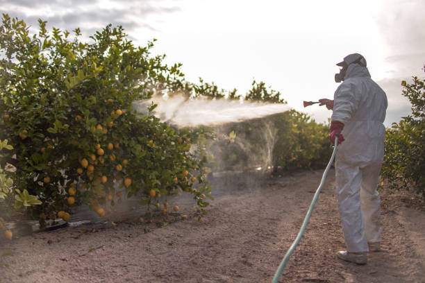 Best Affordable Exterminators  in Rawlins, WY