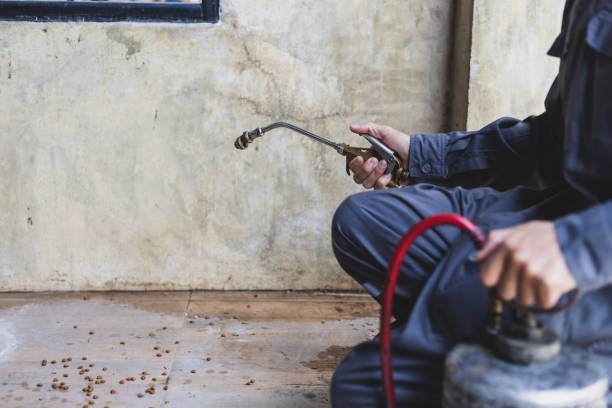 Best Flea Control Services  in Rawlins, WY