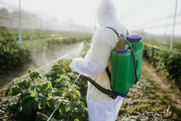 Flea Control Services in Rawlins, WY